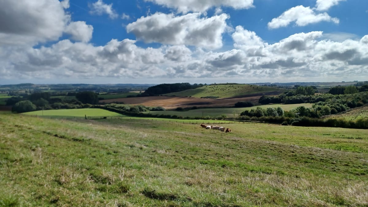 Exploring Lincolnshire: Walks, Hikes & Sights